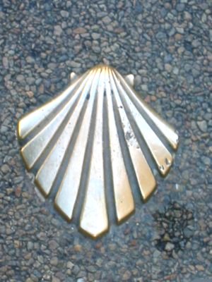 Pilgrimage Shell.